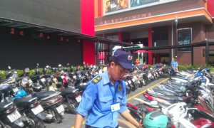 bảo vệ chuyên nghiệp