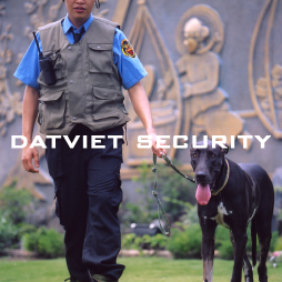 Công ty bảo vệ nào uy tín khi chọn mua dịch vụ bảo vệ ?